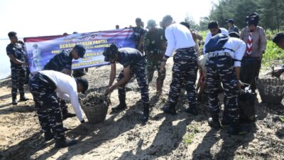 TNI AL Gelar Aksi Bersih Pantai dan Tanam Mangrove di Tanah Laut Melalui Operasi Trisila 26, Wujudkan Indonesia ASRI